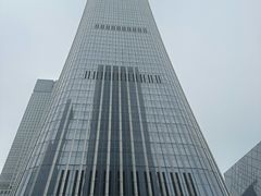 -淮香国色·淮扬菜(正大中心店)