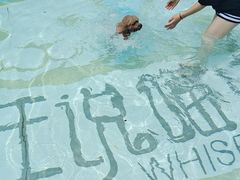 -汪说喵讲宠物乐园宠物酒店(红星美凯龙店)