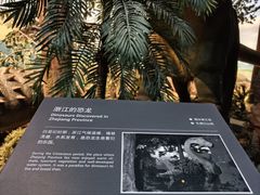 -浙江自然博物院(杭州馆)