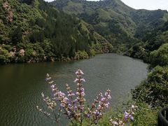 -仙居谷风景区