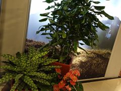 -赛百味SUBWAY(燕莎奥莱店)