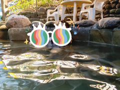 -花水湾第一村温泉大酒店