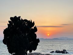-小麦岛公园