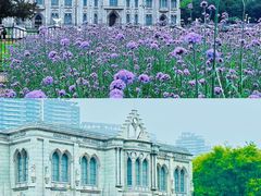 -玫瑰海岸文化旅游度假区