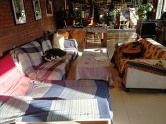 -哈尔滨北方国际青年旅舍(中央大街店)