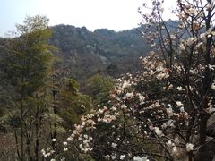 -巨石山景区