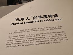 -北京周口店北京人遗址博物馆