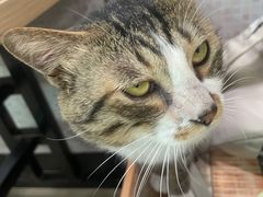 -玉椰林甜品店(创始店)