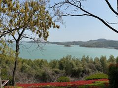-天目湖涵田半山温泉
