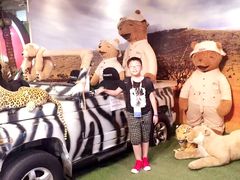 -济州岛泰迪熊博物馆