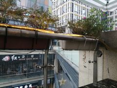 -壹家水货·小海鲜