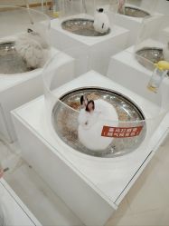 -Moni星球萌宠·小马宝莉·灵蛇·高端高阶全萌宠互动体验俱乐部(红豆国际广场店)