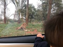 -海南热带野生动植物园