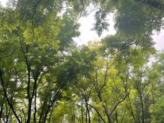 -古塔公园