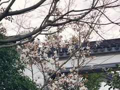 -湘湖逍遥庄园·水漾中餐厅