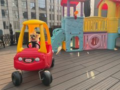 -百好乐宠物友好餐厅(朝外大街店)