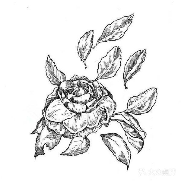 可供临摹的物体简笔画作品欣赏[礼花][礼花]