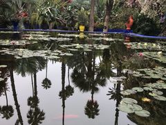 -马洛雷勒花园