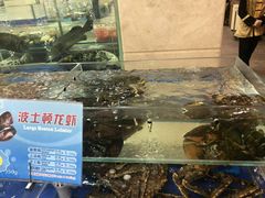 -东江海鲜酒家(艺都分店)