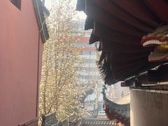 -长春观