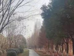 -南湖湿地公园