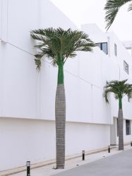 -艺匠摄影ARTIZ STUDIO(南京店)