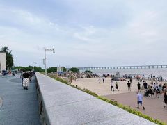 -宝安西湾红树林湿地公园