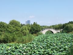 -尚贤河湿地
