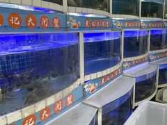 -黄记大闸蟹专卖店·活蟹·醉蟹