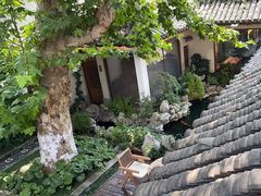 -鲤院·新中式美学·庭院餐厅(夫子庙店)