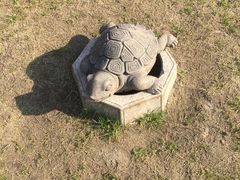 -田园东方蜜桃村的田野营地