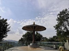 -铁山坪森林公园