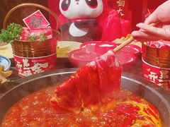 -蜀大侠火锅(总府路店)