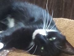 -S Team剧情密室(杭州龙翔桥店)