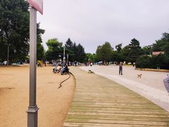 -长春市南湖公园