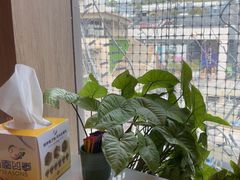 -润园四季椰子鸡火锅(南山海岸城店)