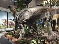 -湖南省地质博物馆