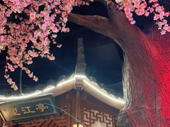 -荷塘秋月·本帮江浙菜(国权路店)