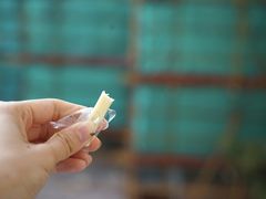 -81BAKERY(大学路店)