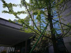 -美盛喜来登大酒店-盛宴标帜餐厅