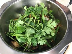 生炒土鸡-九道菜有鸡鱼头(石鼓路店)