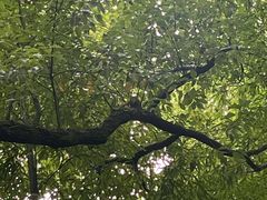 -西湖游船