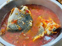 -风鑫铃罗非鱼(道沟店)