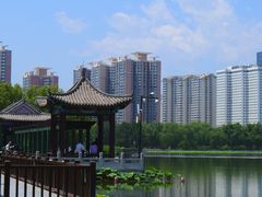 -莲花池公园