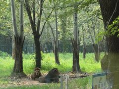 -秦皇岛野生动物园
