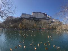 -宗角禄康公园