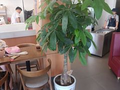 -李先生牛肉面大王(朝阳街店)
