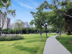 -渭滨公园