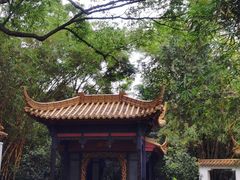 -广州兰圃