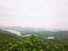 -梧桐山风景名胜区